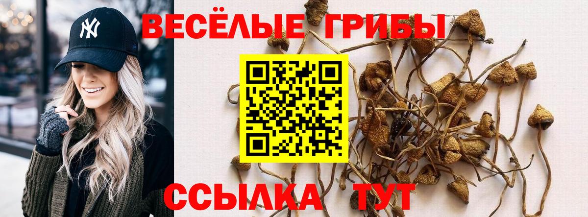 Галлюциногенные грибы ЛСД Лесной