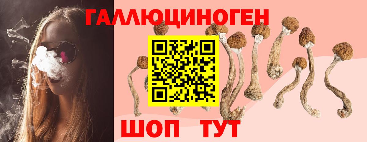 Псилоцибиновые грибы ЛСД  Вход с VPN  Лесной 